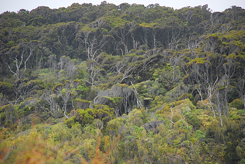 DSC_0189.JPG