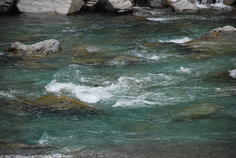 DSC_0276.JPG