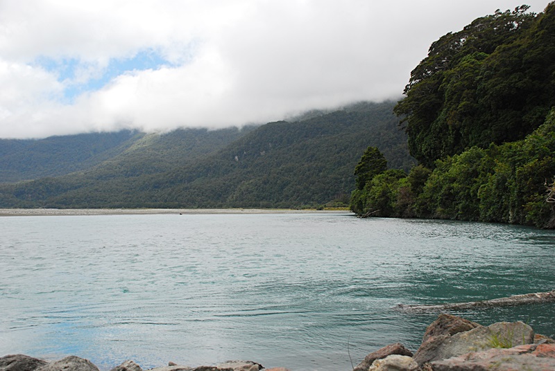 DSC_0205.JPG