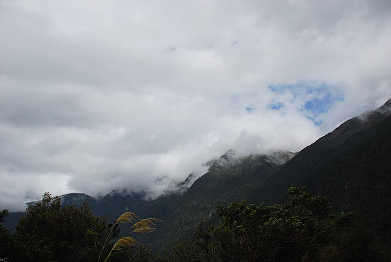 DSC_0195.JPG