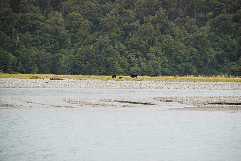 DSC_0206.JPG