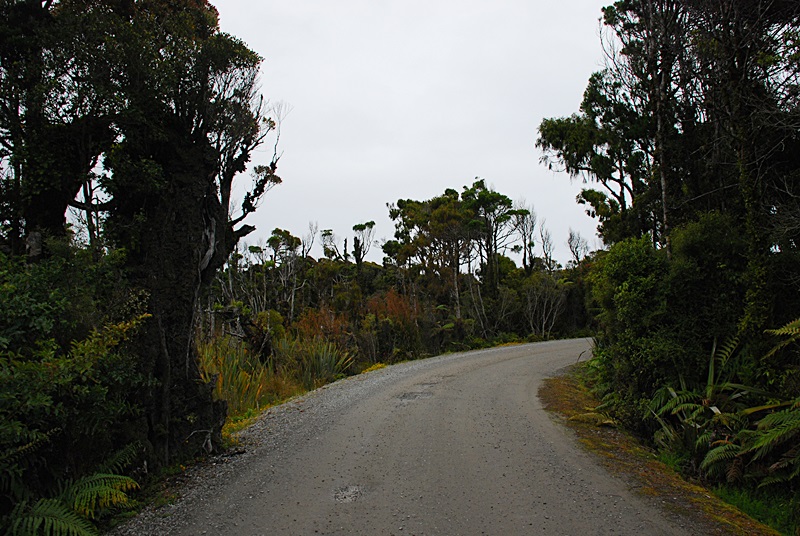 DSC_0180.JPG