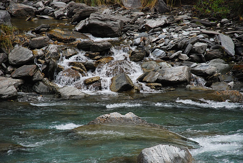 DSC_0275.JPG