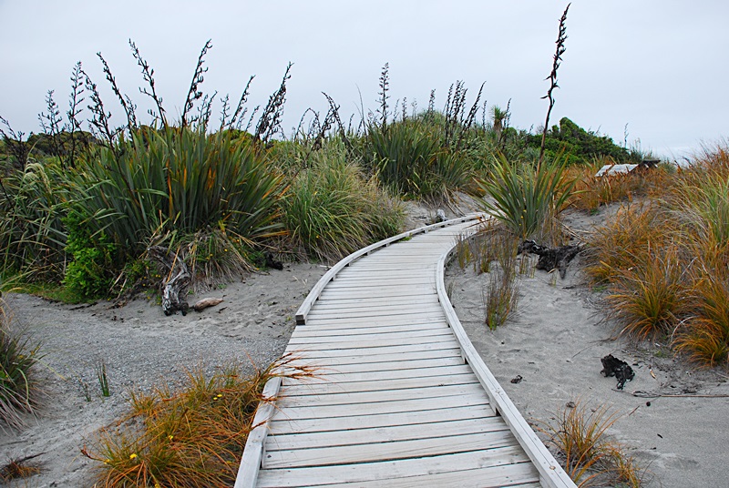 DSC_0184.JPG