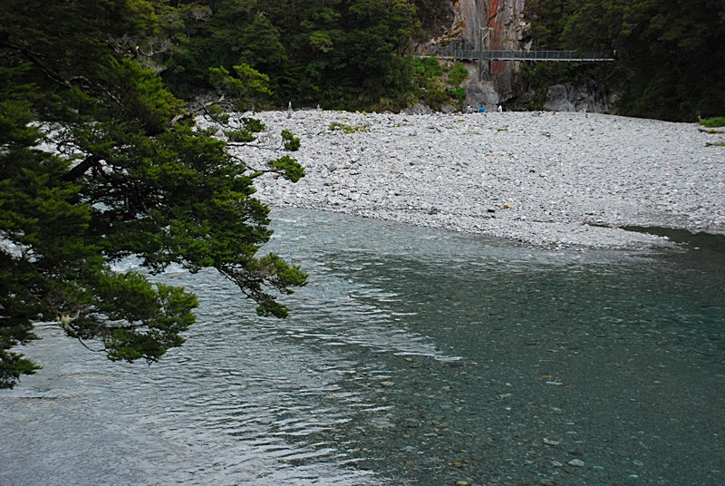 DSC_0324.JPG