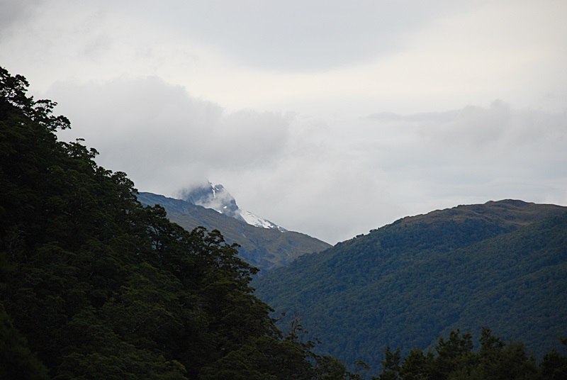 DSC_0360.JPG