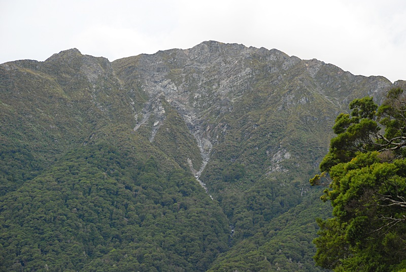 DSC_0359.JPG
