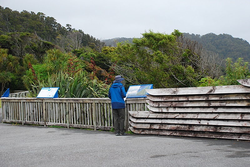 DSC_0157.JPG