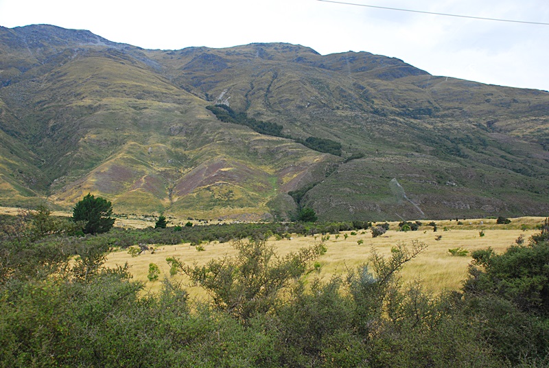 DSC_0367.JPG