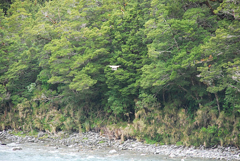 DSC_0356.JPG