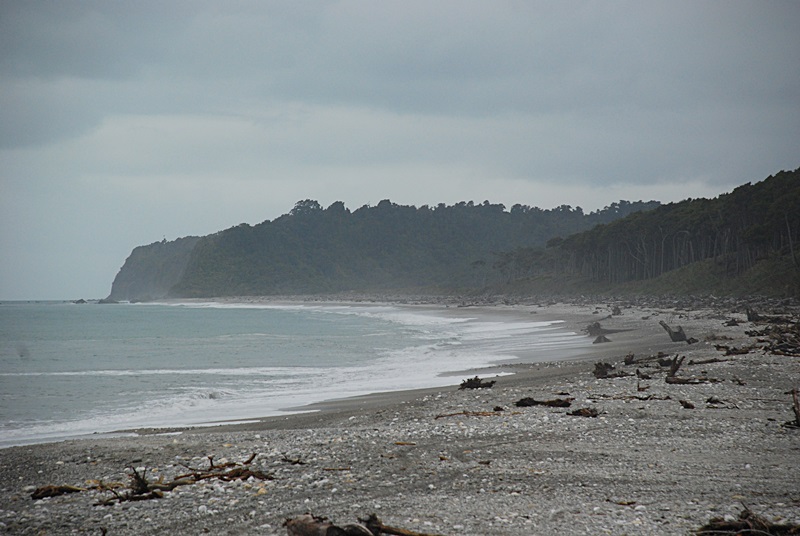 DSC_0145.JPG