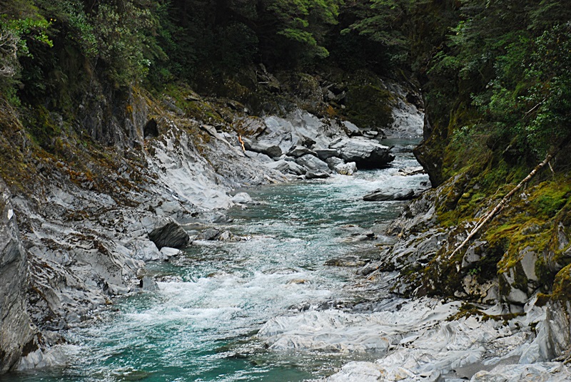DSC_0339.JPG