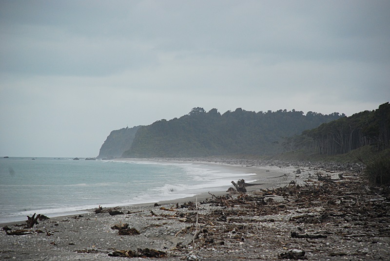 DSC_0153.JPG