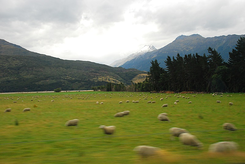 DSC_0371.JPG