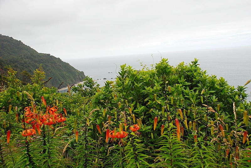 DSC_0164.JPG