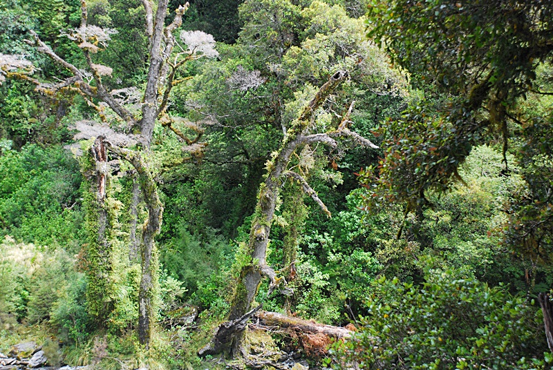 DSC_0265.JPG