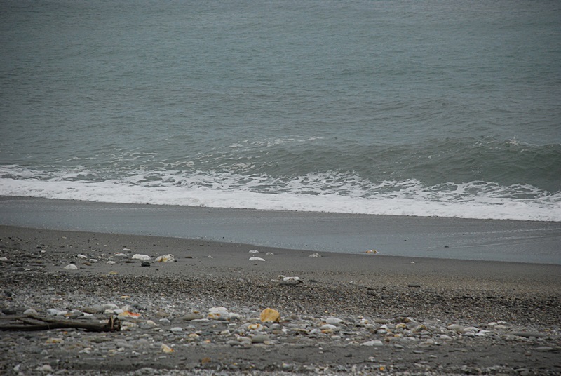 DSC_0148.JPG