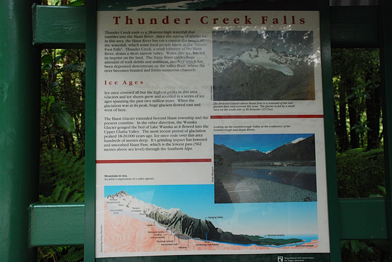 DSC_0250.JPG