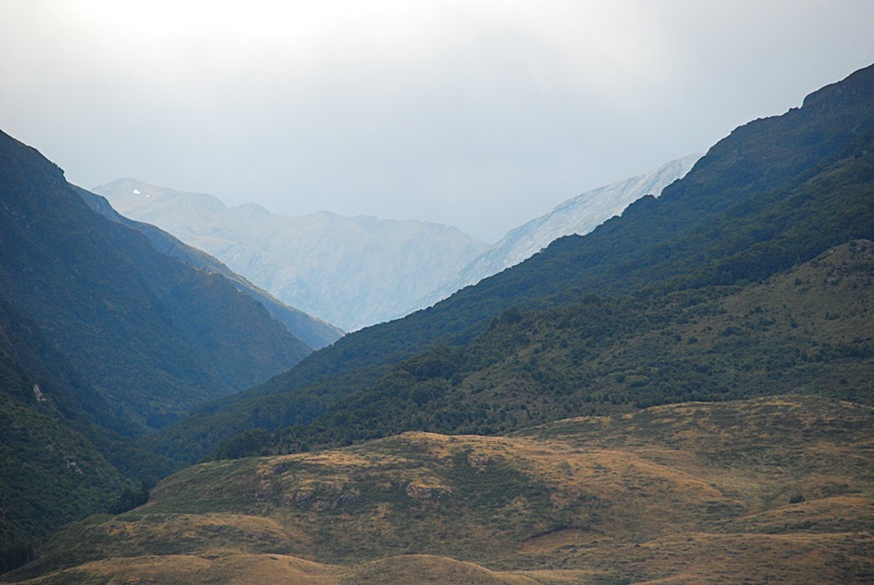 DSC_0378.JPG
