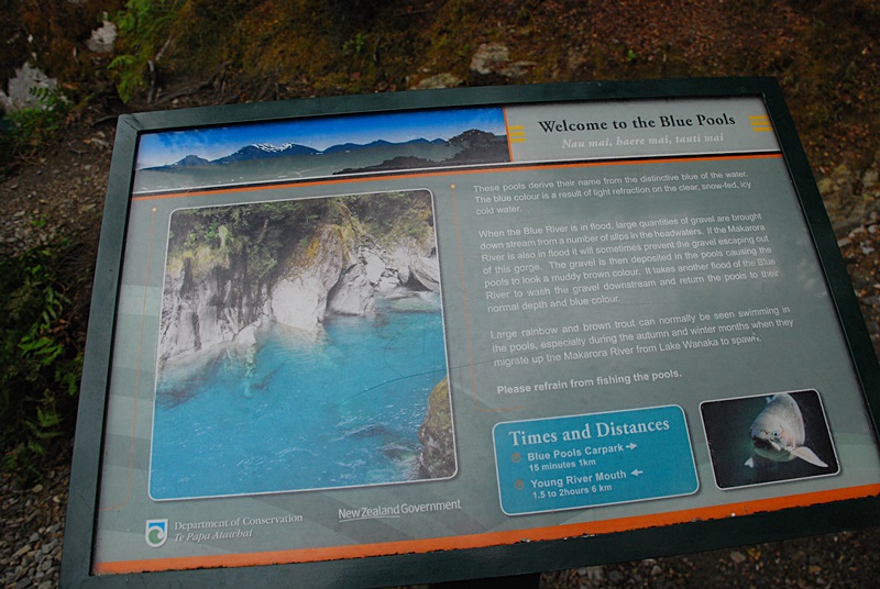 DSC_0329.JPG