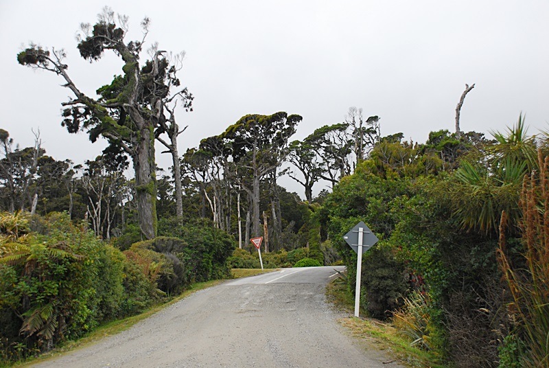 DSC_0179.JPG