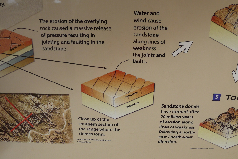 L1070051.JPG