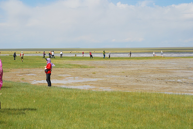 DSC_0441.JPG