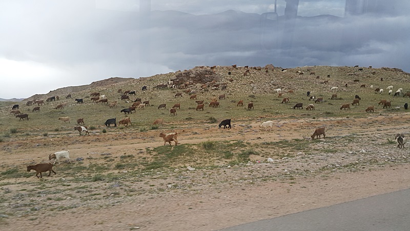 20160826_185345.jpg