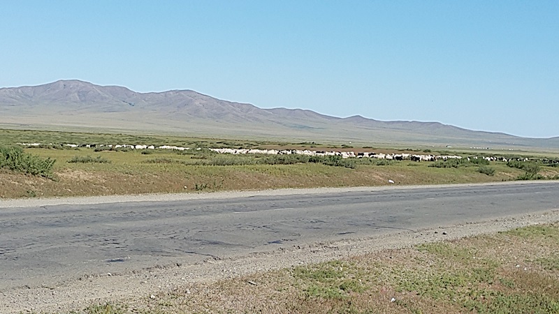 20160827_105424.jpg