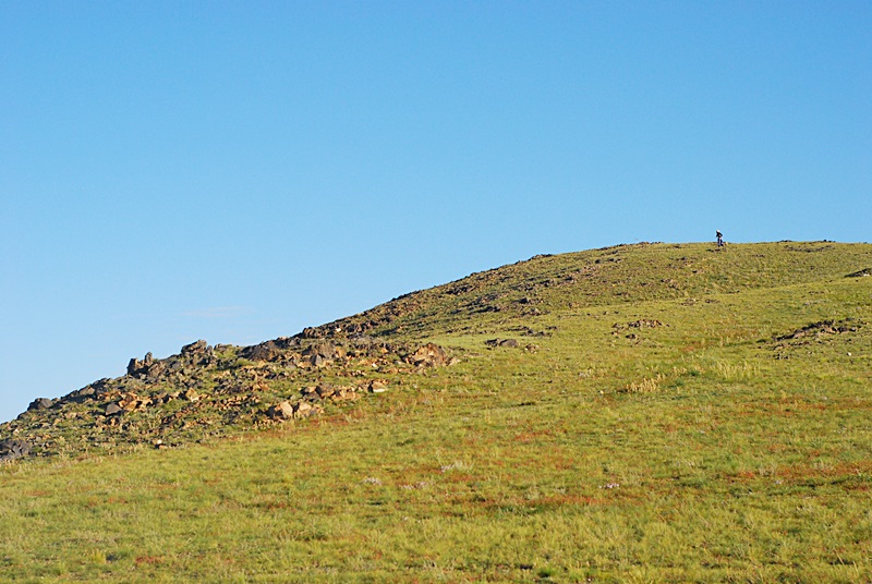 DSC_0347.JPG