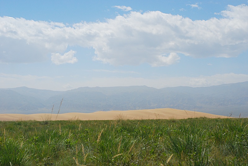 DSC_0401.JPG