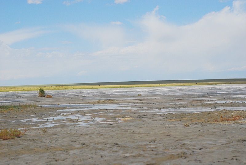 DSC_0453.JPG