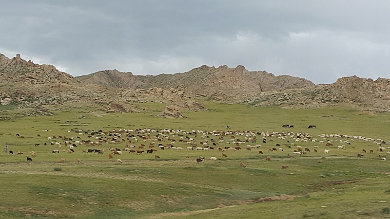 20160826_185937.jpg