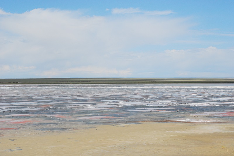 DSC_0455.JPG