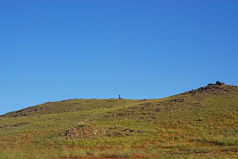 DSC_0339.JPG