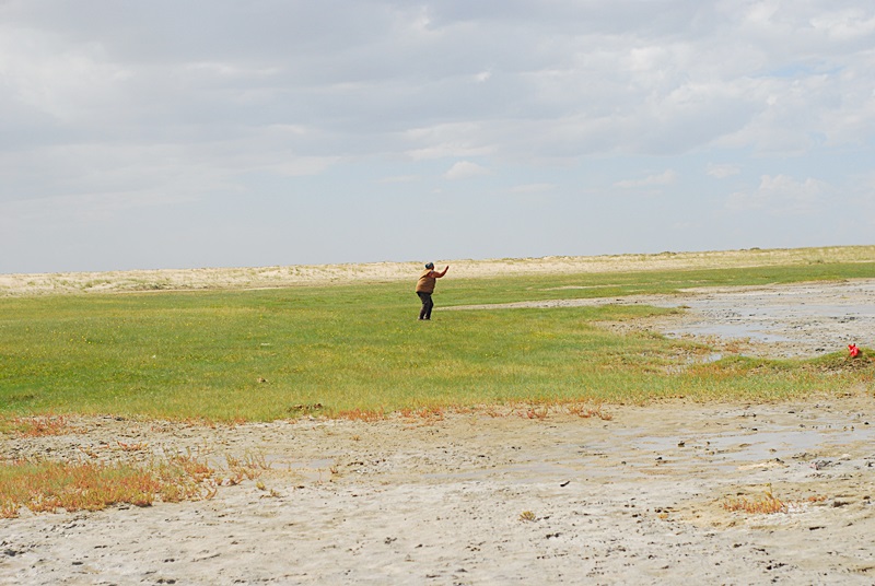 DSC_0463.JPG