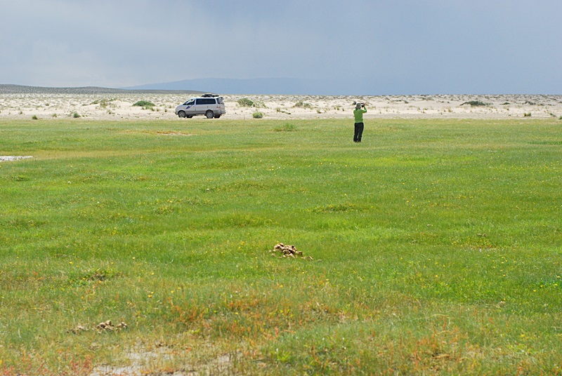 DSC_0466.JPG