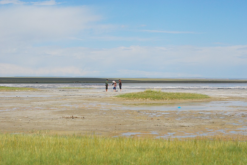 DSC_0443.JPG