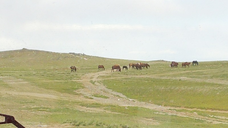 20160826_181542.jpg