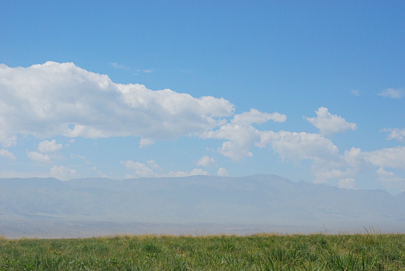DSC_0402.JPG
