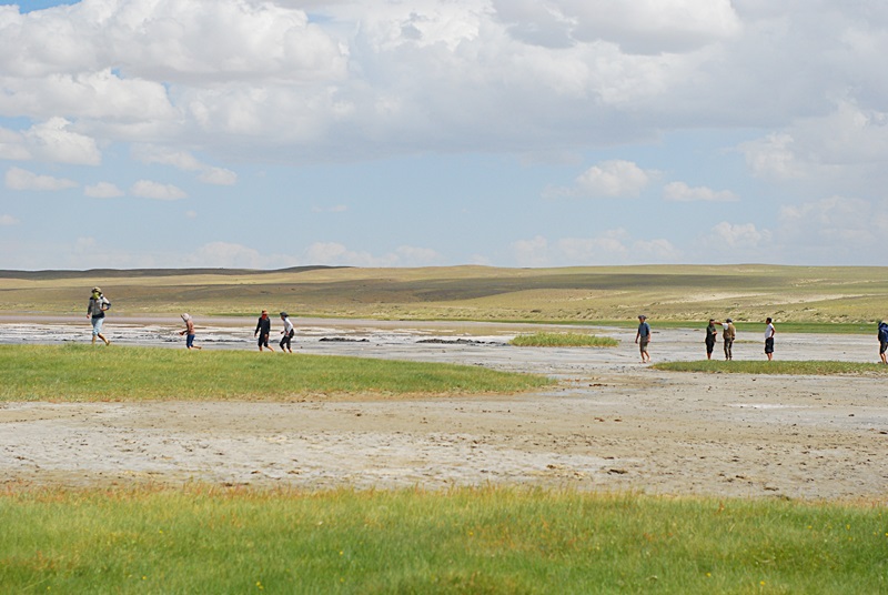 DSC_0450.JPG