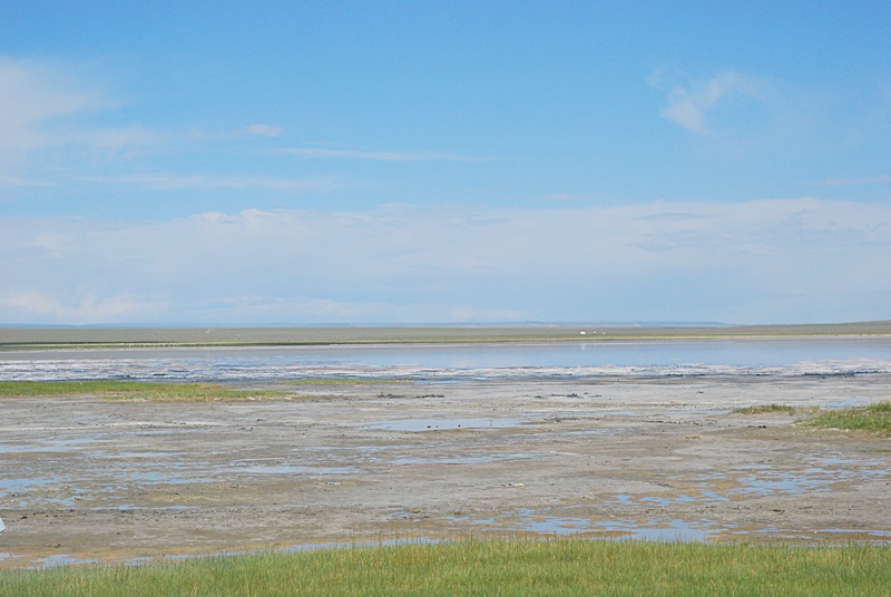 DSC_0435.JPG
