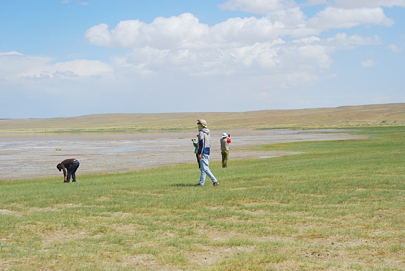 DSC_0432.JPG