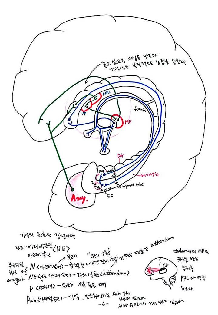 제 8회 특별한 뇌과학 4강 - 기억 (8).JPG