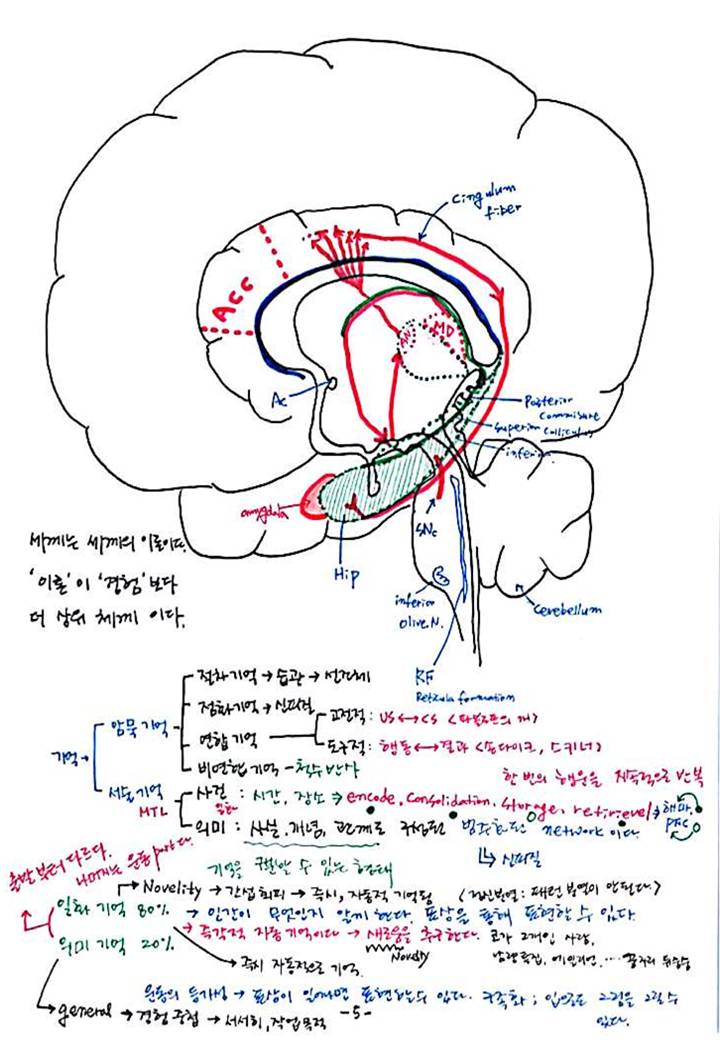 제 8회 특별한 뇌과학 4강 - 기억 (7).JPG