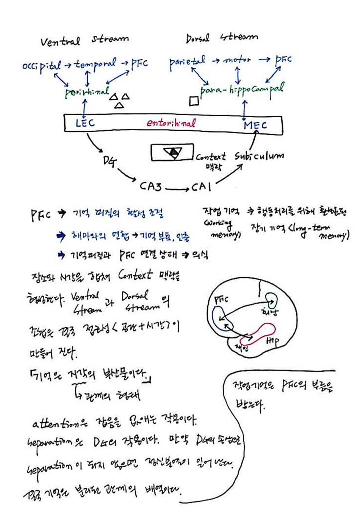 제 8회 특별한 뇌과학 4강 - 기억 (11).JPG