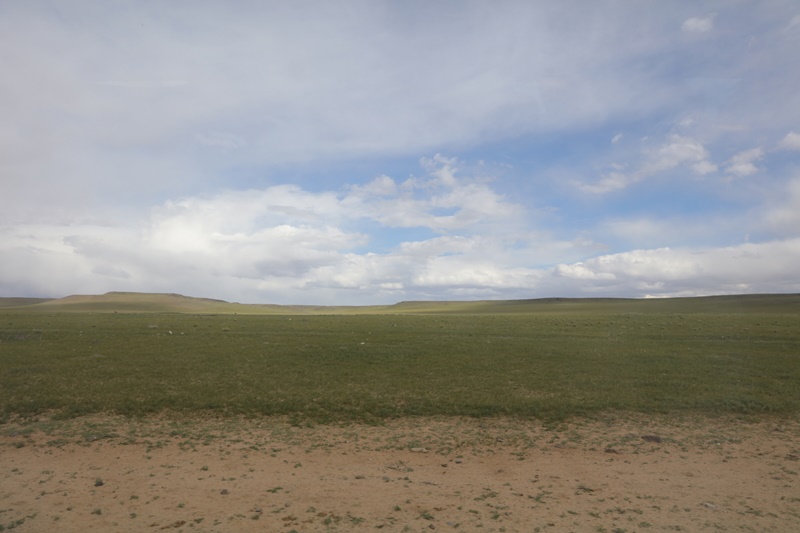 233A3319.JPG