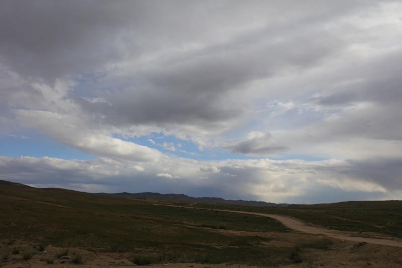 233A3339.JPG
