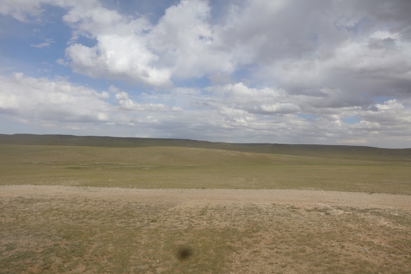 233A3313.JPG