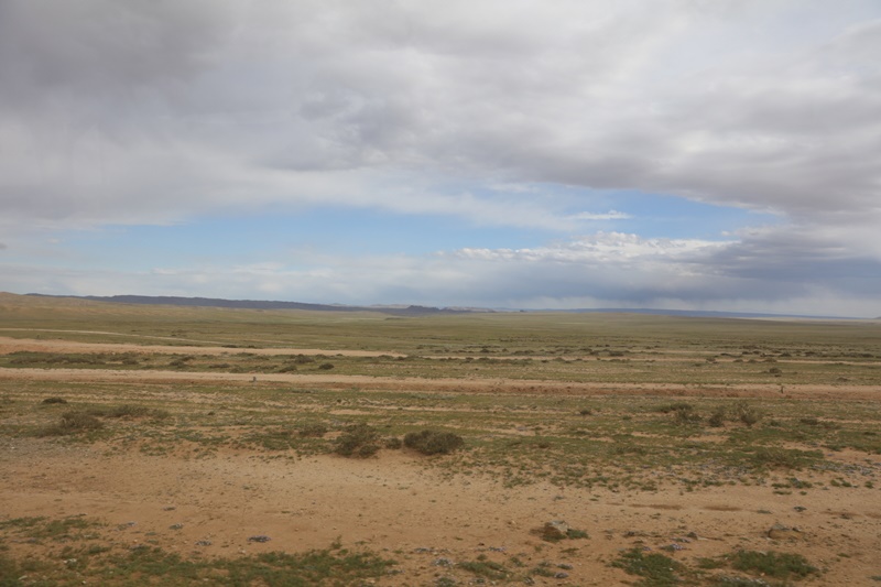 233A3331.JPG